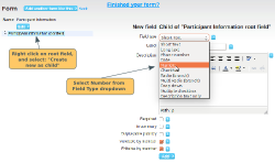 Creating number field - click to enlarge