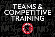 Teams and Competitive Training