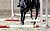Evening Club Training 10.11.2026 Flatwork & Poles