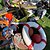 RNCYC BOAT JUMBLE SALE