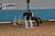 Evening Club Training 25.09.2026 Jumping