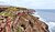 Burnmouth