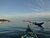 16hr First Aid, Incident Management & Sea Kayak Rescue Course