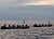 Crossfit ISCA Gig rowing morning - Sunday 23rd August 10am