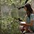 Where the Crawdads Sing