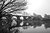 Wye Weekend 2026; 9-11 October 2026
