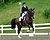 Autumn Dressage at Crows Hall - Sunday 11th October 2026