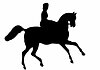 Sample Horseriding Club - Home page on WebCollect