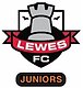 LEWES FC JUNIORS - Home page on WebCollect