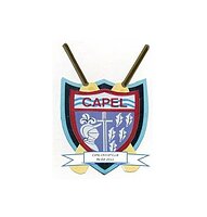Capel Cricket Club